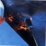 Logo de elkharroub faissel